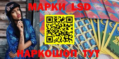 стаф Краснодар