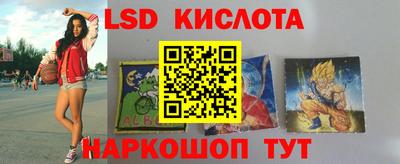 стаф Краснодар