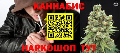 стаф Краснодар