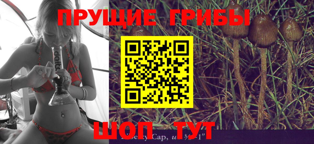 Галлюциногенные грибы прущие грибы  Вход с VPN  Псилоцибиновые грибы MAGIC MUSHROOMS  Костомукша 