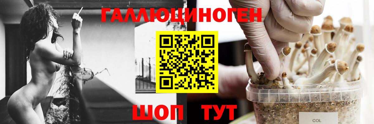 Галлюциногенные грибы ЛСД Костомукша